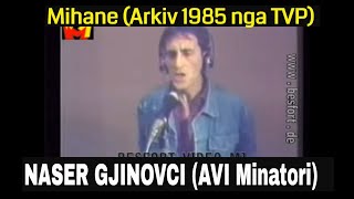 AVI Minatori amp Naser Gjinovci  Mihane Arkiv 1985 nga TVP [upl. by Wales702]