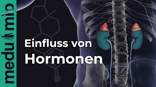 So beeinflussen Hormone Deinen Körper  Progesteron  Ungleichgewicht  Dr Annette Langer [upl. by Perrine747]