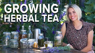 Start an Herbal Tea Garden in Your Yard [upl. by Neely]