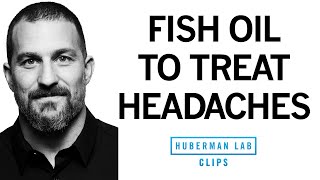 How Fish Oil amp Omega3s Can Help Reduce Headaches  Dr Andrew Huberman [upl. by Shelba]