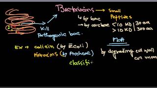 Bacteriocins introduction [upl. by Dronski]