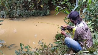 Mancing di sungai yg keruh  umpan cacing [upl. by Adnamaa189]