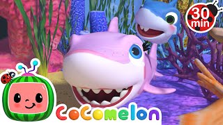 Baby Shark Hide amp Seek  CoComelon Animal Time  Animal Nursery Rhymes [upl. by Haelahk]