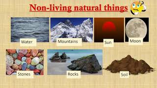 Natural and Man Made Things Educational Video For Kids Environmental Science  Kids Cloud [upl. by Kahaleel]