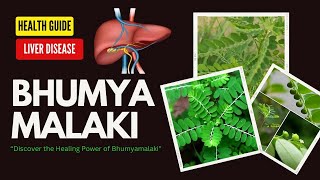 Bhumyamalaki Use of Chronic Liver Disease 😱 [upl. by Eimirej52]