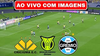 🔴CRICIÚMA X GRÊMIO AO VIVO COM IMAGEM  BRASILEIRÃO 2024  ASSISTIR JOGO AO VIVO COM IMAGEM [upl. by Brunn581]