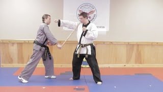 Basic Forms of Hapkido Cane  Hapkido amp Taekwondo Techniques [upl. by Nostrebor]