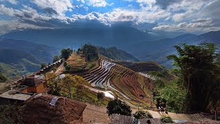 6天自駕玩轉元陽梯田（第6天）哈尼最原始的村落：埡口村 6day selfdriving tour of Yuanyang Rice Terraces Day 6 Yakou Village [upl. by Anesuza]