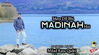 Milad Raza Qadri  Mera Dil Bhi Madinah Hai  Official Video 2022 [upl. by Pliner210]