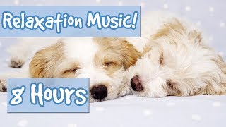 BEST PLAYLIST FOR CALMING PUPPIES Music to Relax My Puppy Special Therapy Music for Dogs 🐶 🎵 💤 [upl. by Booze668]