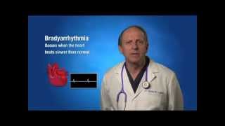 Bradycardia Informational Video  30mov [upl. by Outlaw]