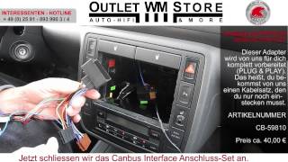 Canbus Adapter Interface Einbau in einen Seat [upl. by Lladnew]