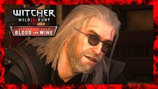 Witcher 3 🌟 Geralt is a Knight Not a Pleb [upl. by Ecnarolf]