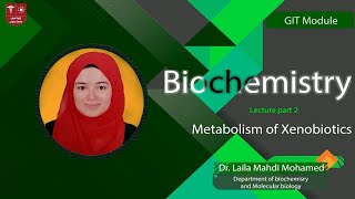 3 Metabolism of Xenobiotics part 2 [upl. by Nayve]