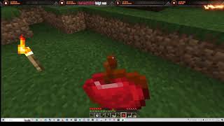 Minecraft 120 Folge 24 Letz Play Heute habe ich mein erstes Weizen Angeplanzt [upl. by Darken]