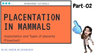 The Placenta Its Development and Function [upl. by Starinsky]