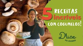 5 receitas com Cogumelo  Drica na Cozinha [upl. by Airitak]