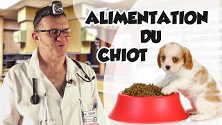 Dr Wouf  ALIMENTATION DU CHIOT [upl. by Araccat]