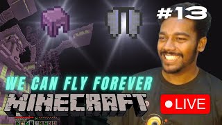 Minecraft Survival Live Stream 13 [upl. by Nomzed177]