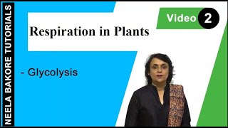 Respiration in Plants  NEET  Glycolysis  Neela Bakore Tutorials [upl. by Eusebio]