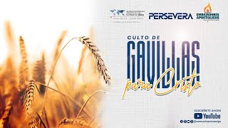 🔥CULTO GAVILLAS PARA CRISTO 🔥 [upl. by Otanod]