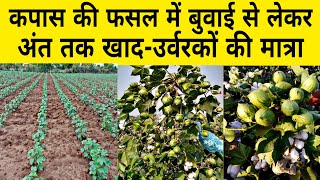 कपास में कौनसा खाद डाले  npk fertilizer  DAP khad  13 0 45 fertilizer  kapas ki kheti  npk [upl. by Bolanger]