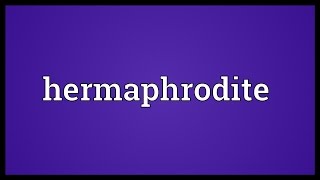 Hermaphrodite Meaning [upl. by Enaitsirhc]