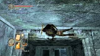 Dark Souls 2 Walkthrough  Everything possible in Lost Bastille 1 [upl. by Neroc]