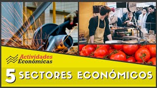 Los 5 sectores económicos Economía Ejemplos y características [upl. by Anyzratak]