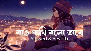 Jao Pakhi Bolo Tare  Monpura Movie Song Bangla Lofi Song Slowed amp Reverb Song 2024Lofi Media 90 [upl. by Mindy]