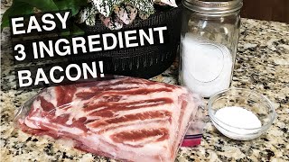 SIMPLE HOMEMADE BACON  3 INGREDIENTS  NO NITRATES  EASY  NO SMOKER NEEDED [upl. by Ailev]