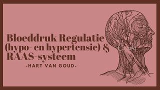 Bloeddruk regulatie hypo en hypertensie RAAS systeem behandeling en medicatie  Hart van Goud [upl. by Wadlinger493]