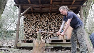 Coppicing A Small Area Of My Woodland For Firewood [upl. by Asereht730]