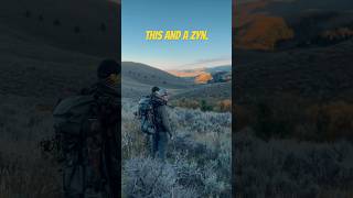 This Sunset… And a Zyn Epic Montana Elk Hunting hunting shortsyoutube [upl. by Rosalba]