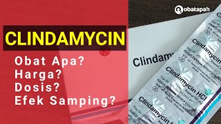 Clindamycin Obat Apa Harga Dosis Efek Samping [upl. by Annirok]