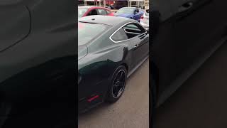 2019 Mustang Bullitt [upl. by Tihom]