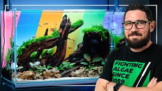 ELEVATE Your Aquarium Setup with COLORED BACKGROUNDS [upl. by Asus]