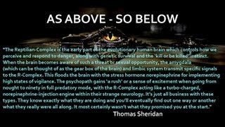 AVOIDING TOXIC PEOPLE and SITUATIONS  Thomas Sheridan [upl. by Helban]