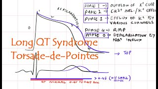 Long QT syndrome Torsade de pointes Elevated QT interval [upl. by Bertsche983]