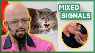 Jackson Galaxy Helps An Aggressive Cat That Keeps Attacking Its Owners  My Cat From Hell [upl. by Iviv]