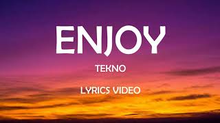 Tekno  Enjoy Lyrics Video [upl. by Naitsabas84]