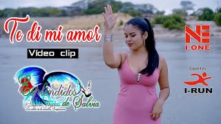 TE DI MI AMOR  ESPLENDIDOS DE SALVIA  VIÍDEO CLIP OFICIAL JUNIO 2019 [upl. by Meneau]