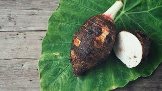 How To Prepare Dasheen Leaves Taro Leaf In Coconut milk Nutritious [upl. by Osrock823]