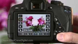 Introduction to the Canon Rebel T5i 700D Basic Controls [upl. by Noguchi]