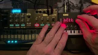 Betty Bobby Grymem and a little Magic a Korg NTS1 and Volca FM 2 jam [upl. by Yerag]