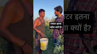 टमाटर इतना महँगा क्यों है जानिए tomato tomatopricetoday tomatorate shorts newspotli short [upl. by Alitta]