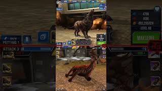 HYAENODON ALL EVOLUTION amp HYAENODON ALL ANIMATION  Jurassic World The Game [upl. by Nallad311]