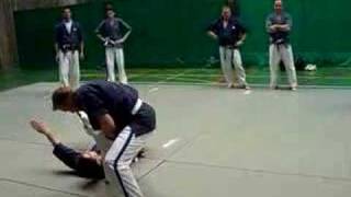 Module 1 Aiki Yoseikan Budo [upl. by Ball]