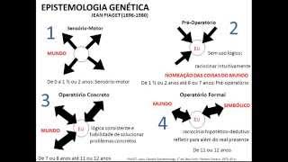 Epistemologia Genética de Jean Piaget  Video Aula [upl. by Llewellyn]