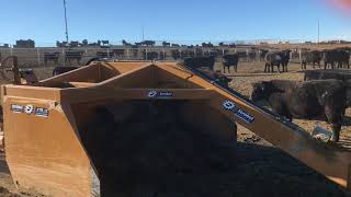 Extreme Duty Strobel Box Scraper  working a feedlot [upl. by Renaxela945]